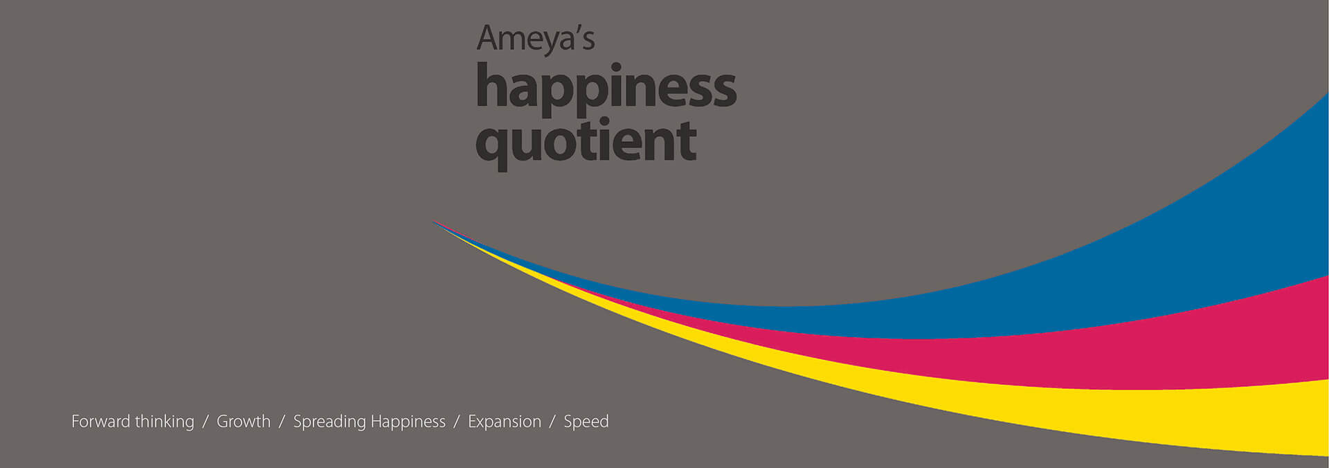 Ameya Group Banner