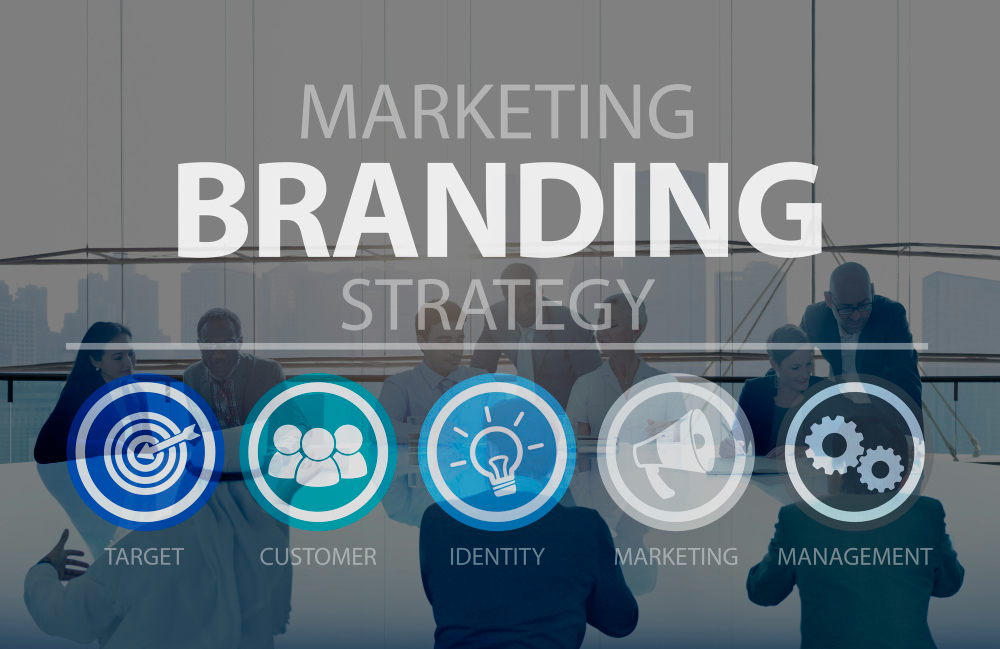 Building a Brand from Scratch Expert Advice and Case Studies